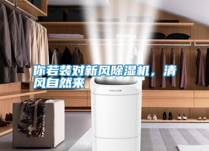 你若裝對(duì)新風(fēng)除濕機(jī)，清風(fēng)自然來(lái)