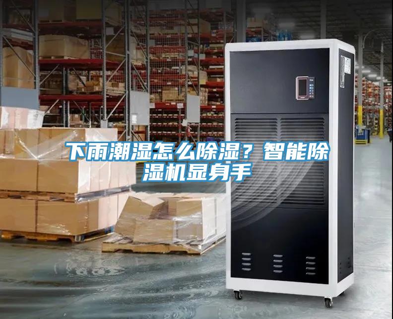 下雨潮濕怎么除濕？智能除濕機顯身手
