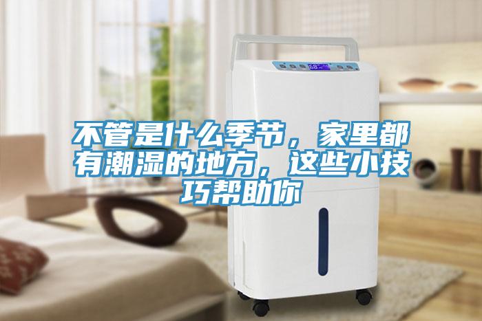 不管是什么季節(jié)，家里都有潮濕的地方，這些小技巧幫助你