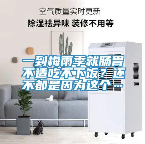 一到梅雨季就腸胃不適吃不下飯？還不都是因為這個…