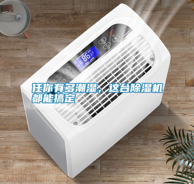 任你有多潮濕，這臺除濕機都能搞定