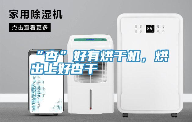 “杏”好有烘干機，烘出上好杏干