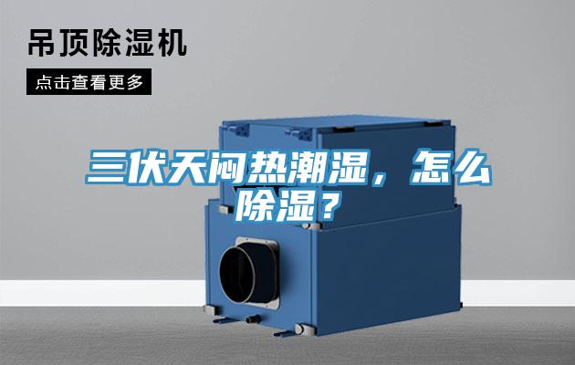 三伏天悶熱潮濕，怎么除濕？
