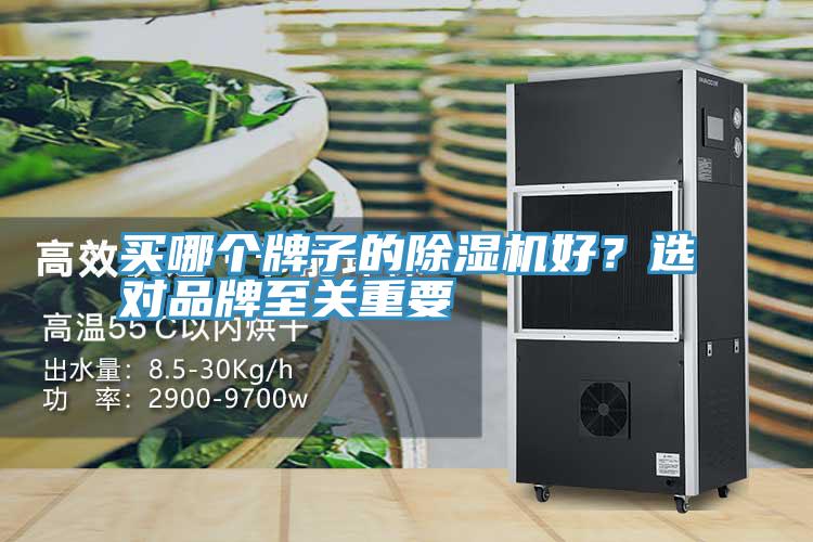 買(mǎi)哪個(gè)牌子的除濕機(jī)好？選對(duì)品牌至關(guān)重要
