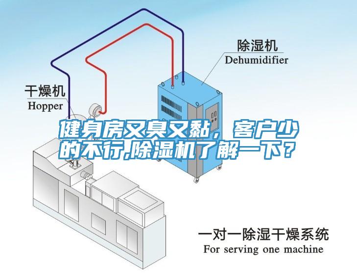 健身房又臭又黏，客戶少的不行,除濕機(jī)了解一下？