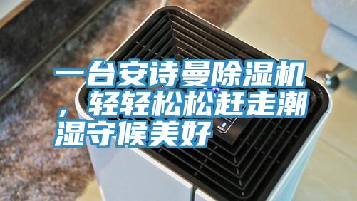 一臺(tái)安詩(shī)曼除濕機(jī)，輕輕松松趕走潮濕守候美好