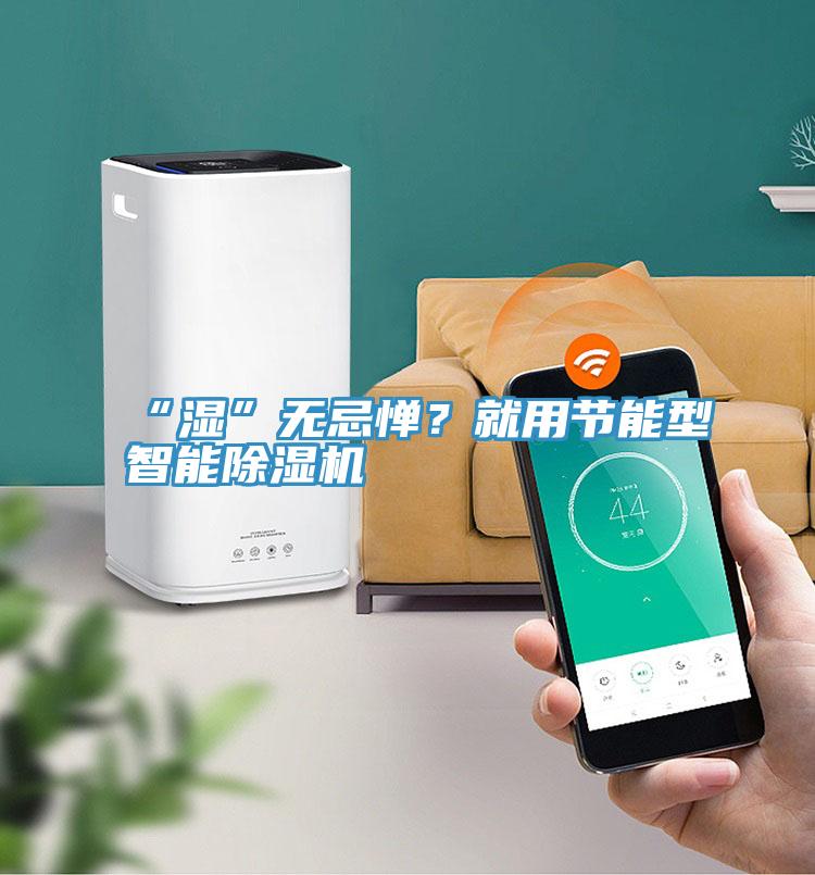 “濕”無忌憚？就用節(jié)能型智能除濕機