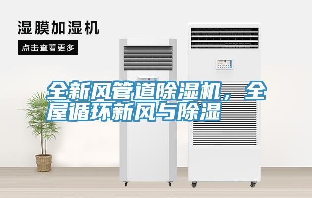全新風管道除濕機，全屋循環(huán)新風與除濕