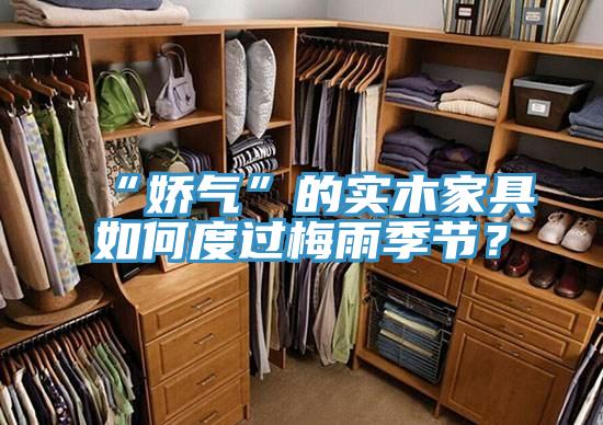 “嬌氣”的實木家具如何度過梅雨季節(jié)？