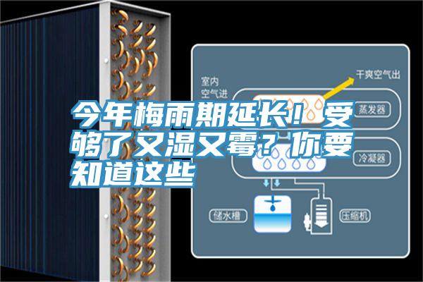 今年梅雨期延長！受夠了又濕又霉？你要知道這些