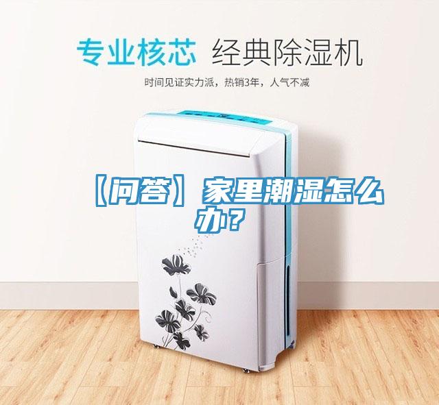 【問答】家里潮濕怎么辦？