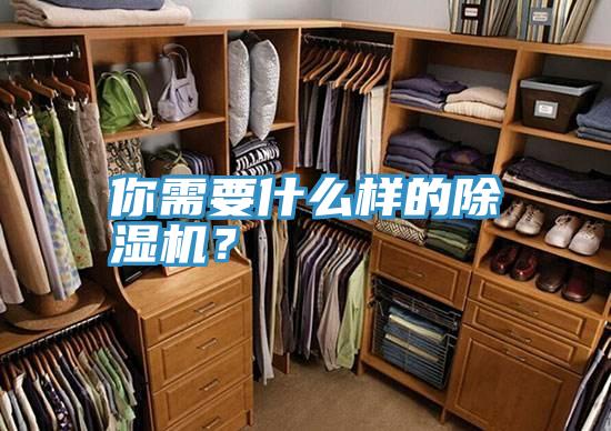 你需要什么樣的除濕機(jī)？