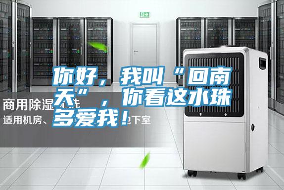 你好，我叫“回南天”，你看這水珠多愛(ài)我！