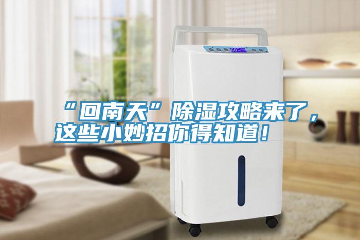 “回南天”除濕攻略來了，這些小妙招你得知道！