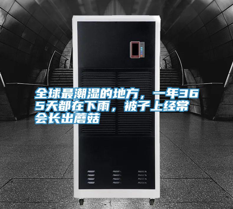 全球最潮濕的地方，一年365天都在下雨，被子上經(jīng)常會長出蘑菇