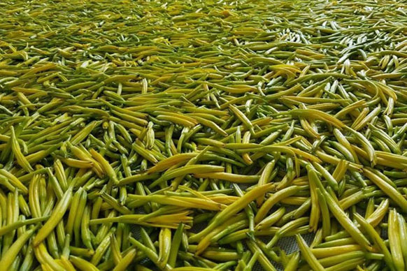 無(wú)硫金針菜烘干如何保持品相？不發(fā)黑？_除濕機(jī)廠家
