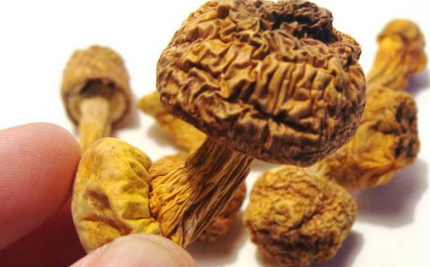 巴西菇、姬松茸烘干機(jī)-怎樣烘干色澤好且菇體褶片完整？