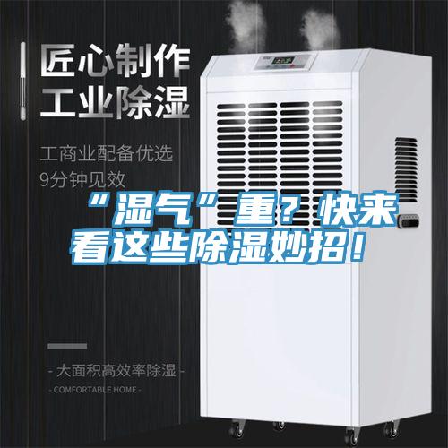 “濕氣”重？快來看這些除濕妙招！