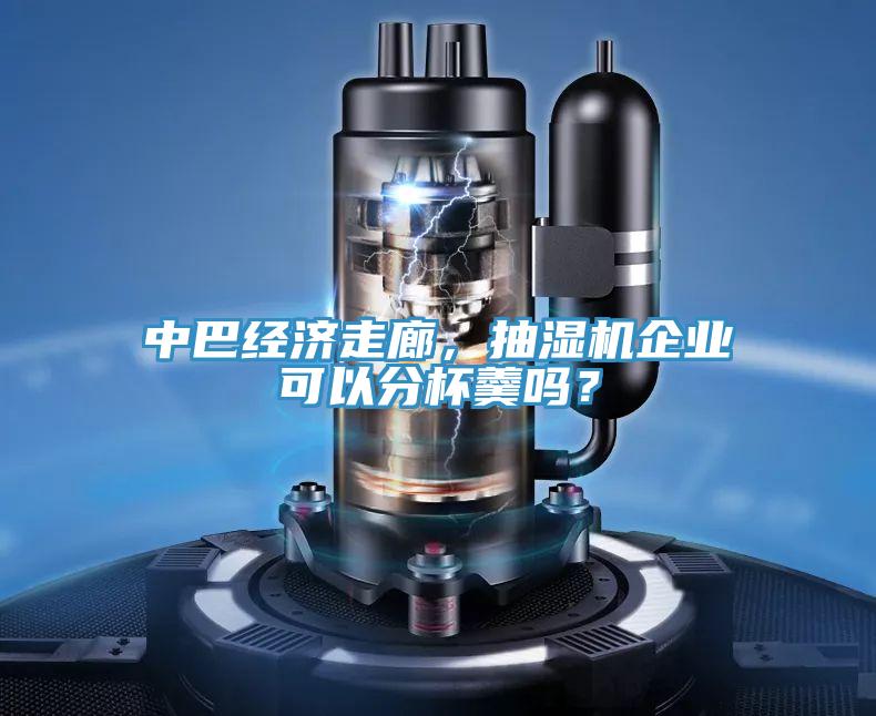 中巴經(jīng)濟(jì)走廊，抽濕機(jī)企業(yè)可以分杯羹嗎？