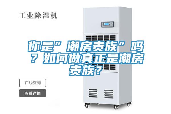 你是”潮房貴族”嗎？如何做真正是潮房貴族？