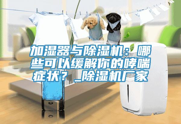 加濕器與除濕機(jī)：哪些可以緩解你的哮喘癥狀？_除濕機(jī)廠家