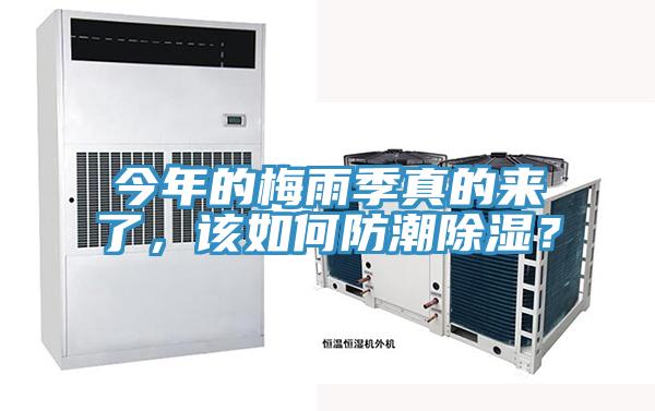 今年的梅雨季真的來了，該如何防潮除濕？