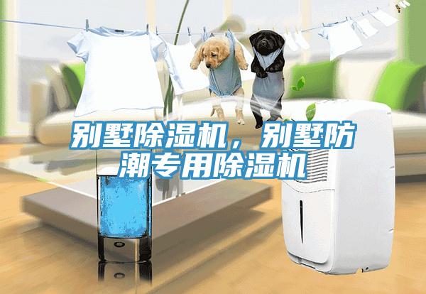 別墅除濕機，別墅防潮專用除濕機