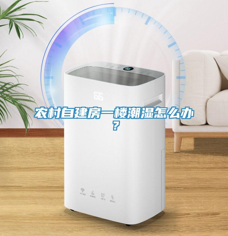 農(nóng)村自建房一樓潮濕怎么辦？
