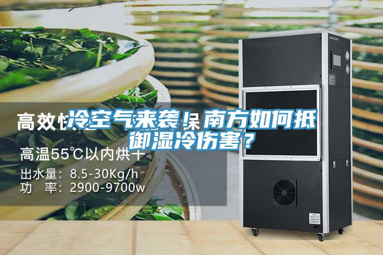 冷空氣來(lái)襲！南方如何抵御濕冷傷害？