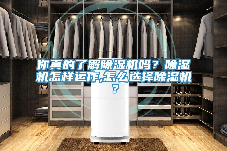 你真的了解除濕機嗎？除濕機怎樣運作,怎么選擇除濕機？