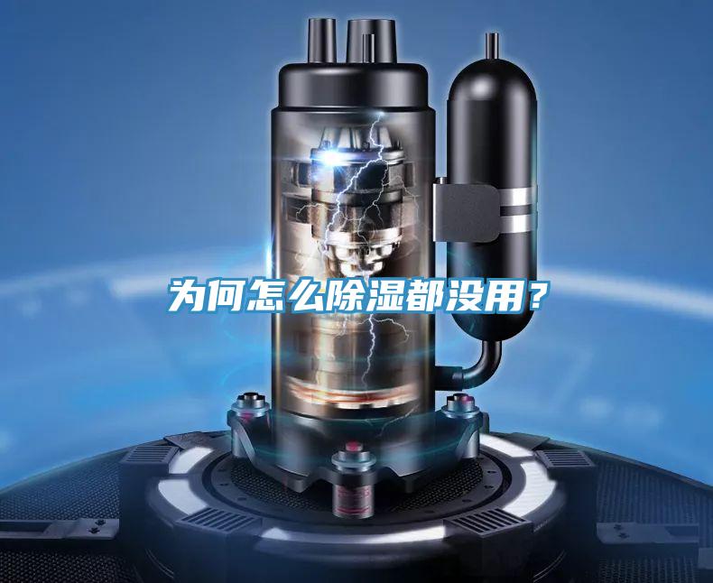 為何怎么除濕都沒用？