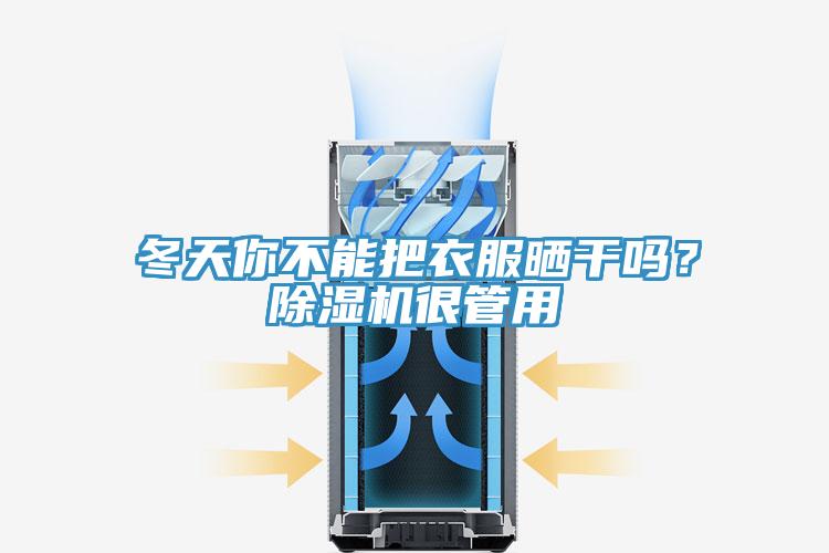 冬天你不能把衣服曬干嗎？除濕機(jī)很管用