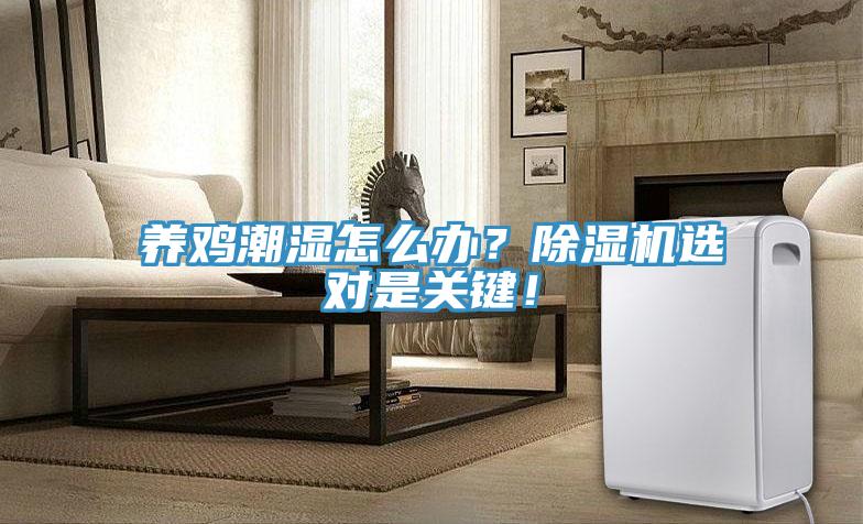 養(yǎng)雞潮濕怎么辦？除濕機(jī)選對是關(guān)鍵！