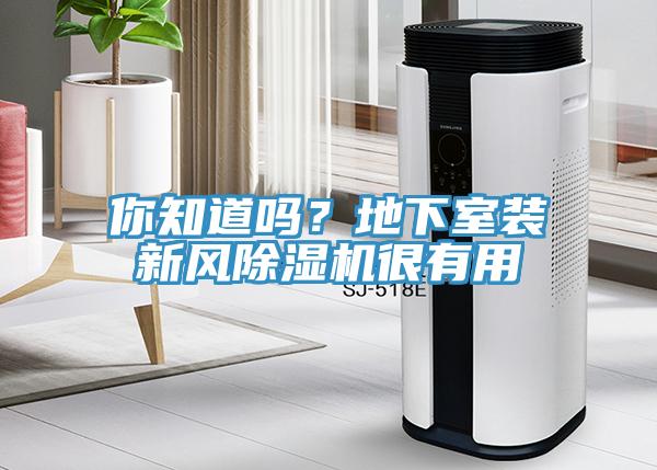 你知道嗎？地下室裝新風(fēng)除濕機很有用