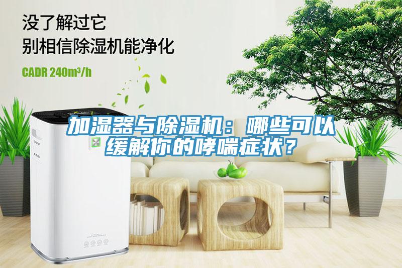 加濕器與除濕機(jī)：哪些可以緩解你的哮喘癥狀？