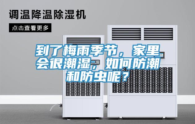 到了梅雨季節(jié)，家里會(huì)很潮濕，如何防潮和防蟲(chóng)呢？