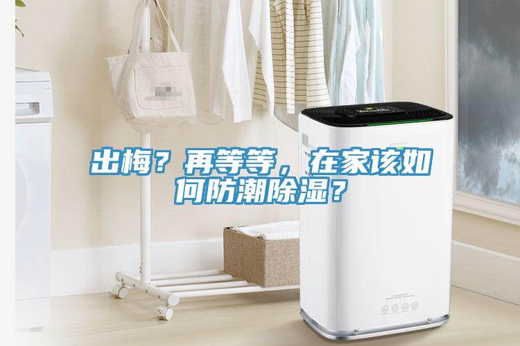 出梅？再等等，在家該如何防潮除濕？