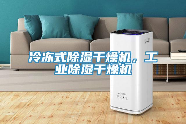 冷凍式除濕干燥機(jī)，工業(yè)除濕干燥機(jī)