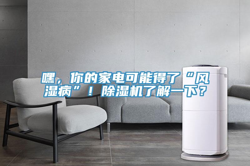 嘿，你的家電可能得了“風(fēng)濕病”！除濕機(jī)了解一下？