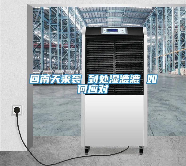 回南天來襲 到處濕漉漉 如何應(yīng)對(duì)