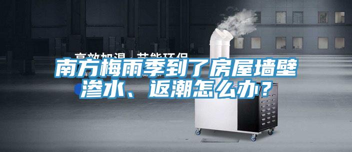 南方梅雨季到了房屋墻壁滲水、返潮怎么辦？