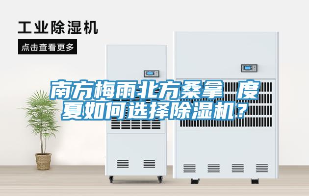 南方梅雨北方桑拿 度夏如何選擇除濕機(jī)？