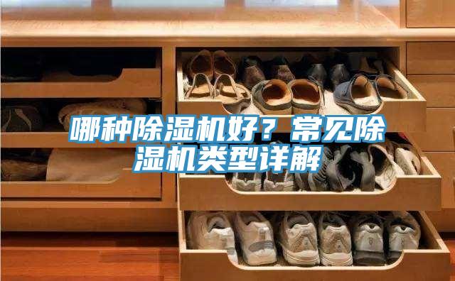哪種除濕機(jī)好？常見(jiàn)除濕機(jī)類(lèi)型詳解