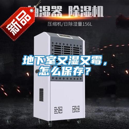 地下室又濕又霉，怎么保存？