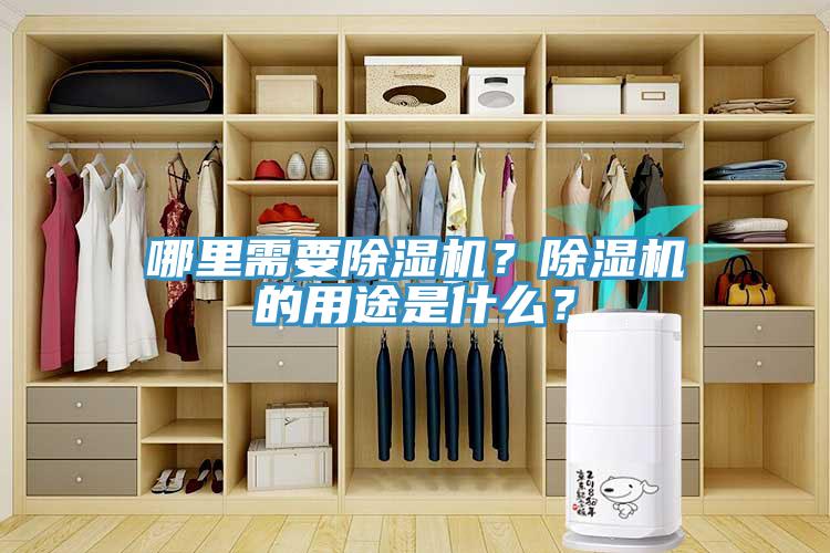 哪里需要除濕機(jī)？除濕機(jī)的用途是什么？