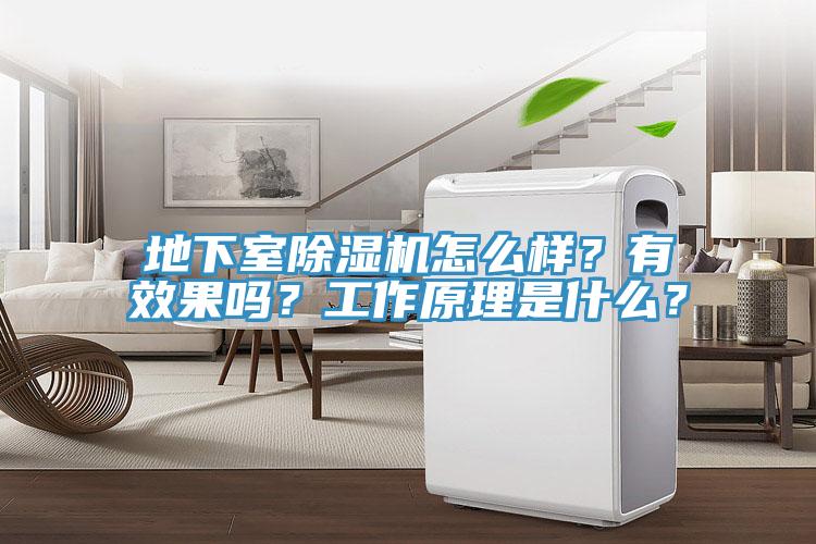 地下室除濕機(jī)怎么樣？有效果嗎？工作原理是什么？