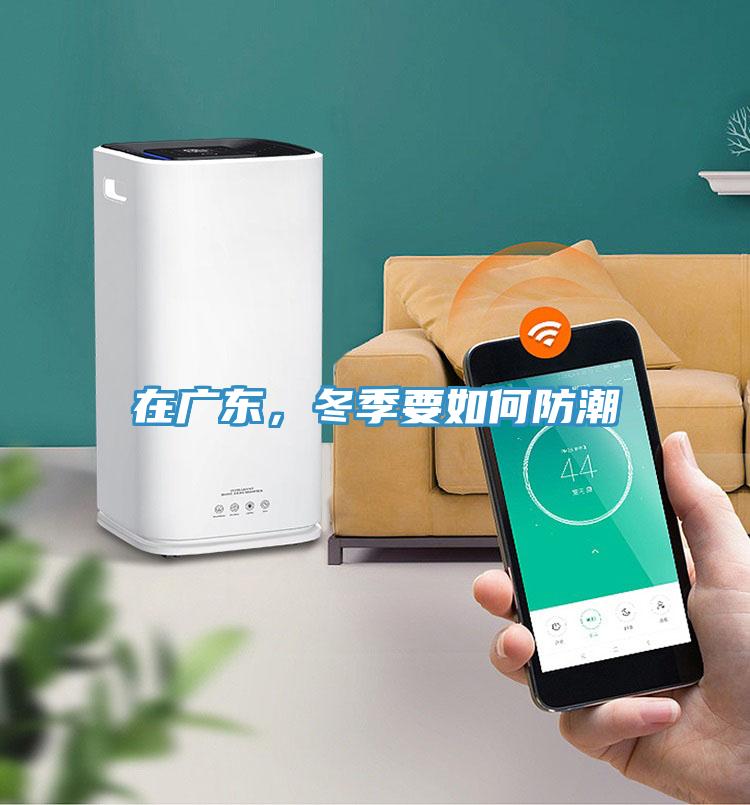 在廣東，冬季要如何防潮