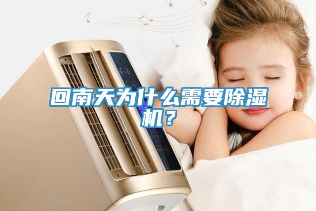 回南天為什么需要除濕機(jī)？