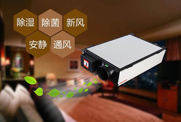 廈門除濕機怎么選？