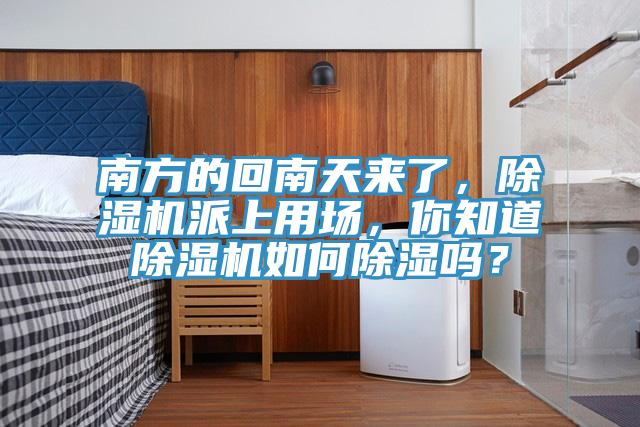南方的回南天來了，除濕機(jī)派上用場，你知道除濕機(jī)如何除濕嗎？